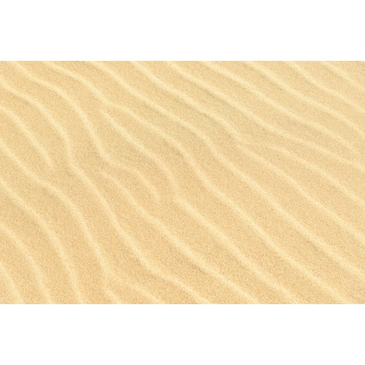 Premium Silica Sand Infill